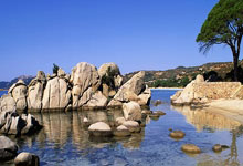 开云下载-关于青少年篮球锦标赛精彩纷呈才华涌现的信息