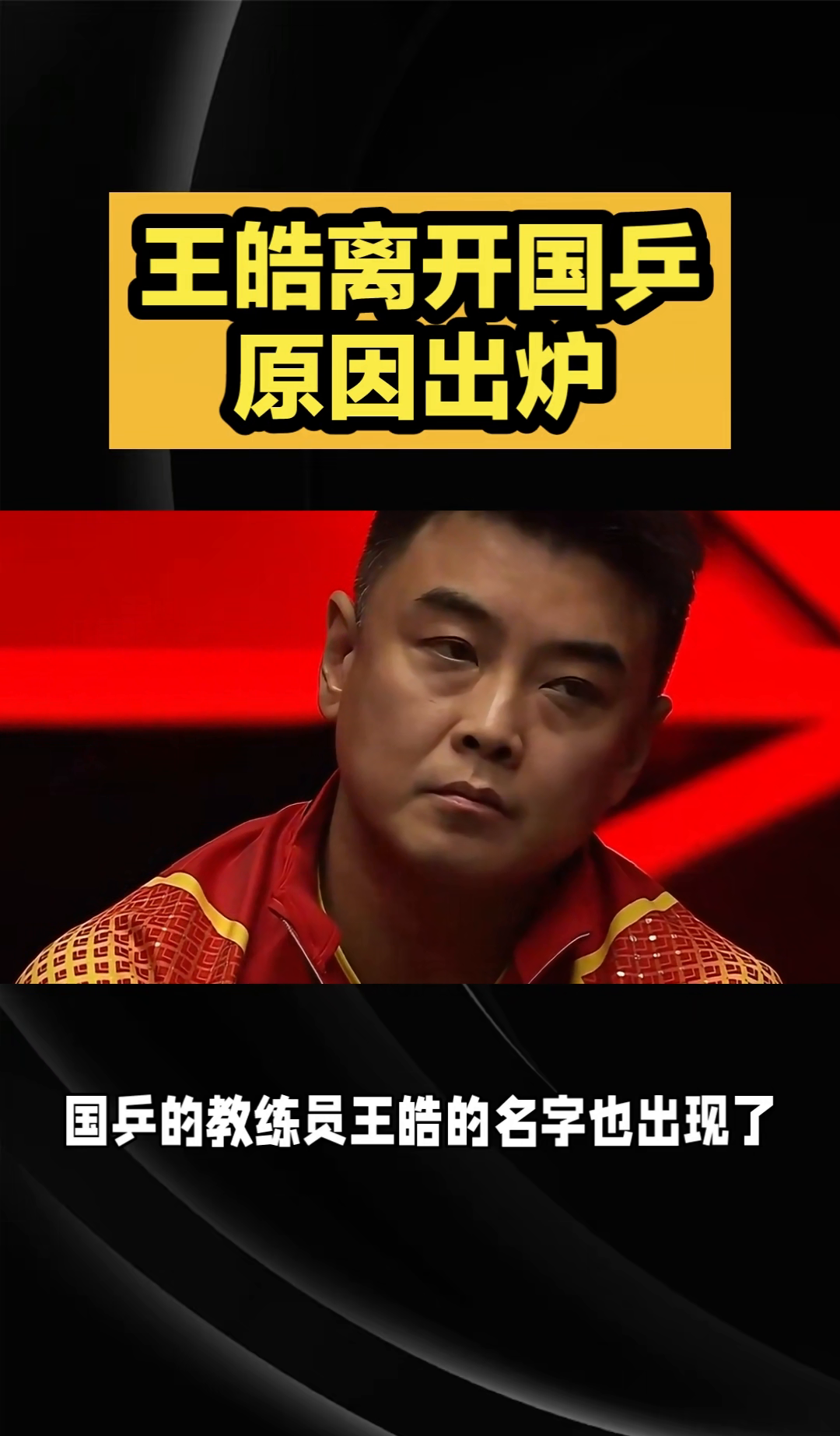 包含波兰乒乓球队横扫日本乒乓球队，王皓一己之力扛起全队的词条