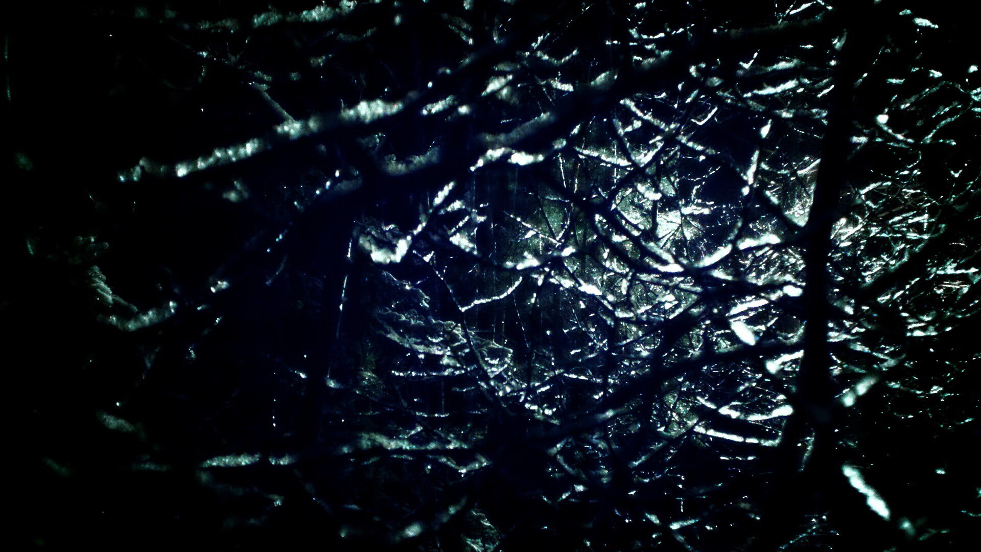 抢七鏖战！广东逆转北京挺进四强