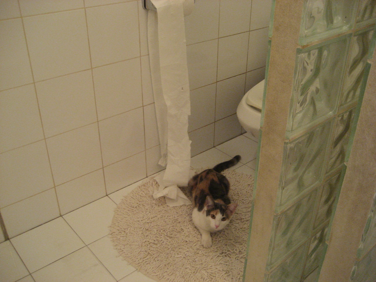 蓝白与红黑的交响曲，当阿根廷巅峰对决AC米兰，厄德高奏响新乐章