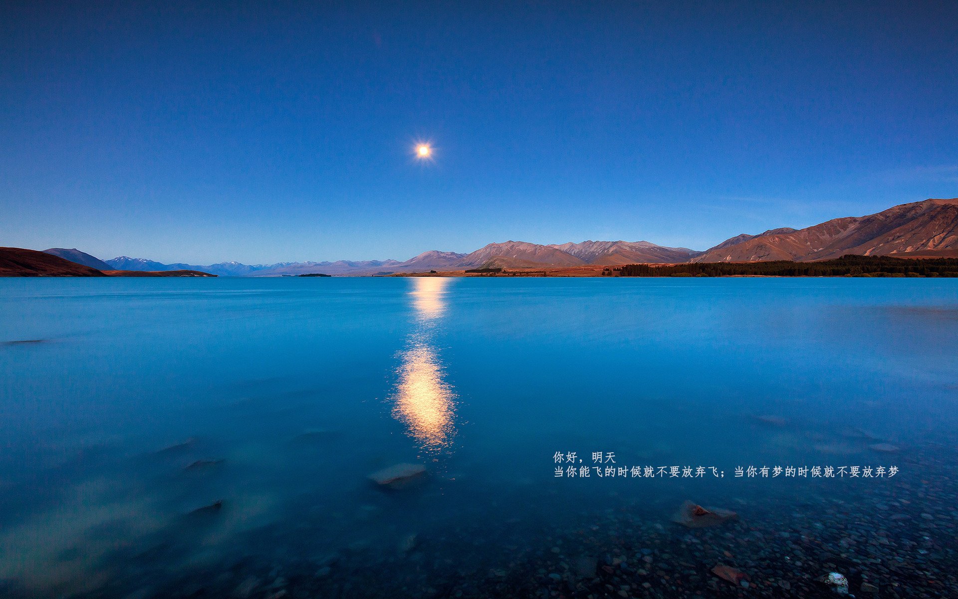 跨越太平洋的篮球之光，文班亚马的爆发与广厦队的争冠启示