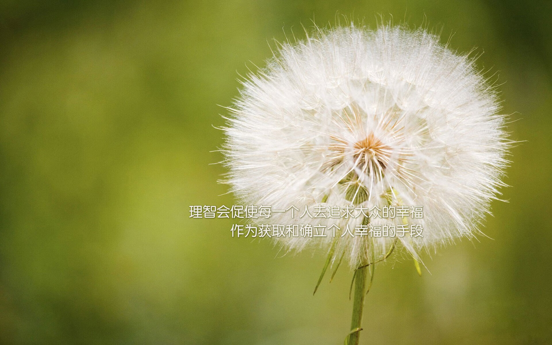 跨界风暴，雷霆单节狂飙拉开火箭，东契奇幻想英超争冠接管绿茵场