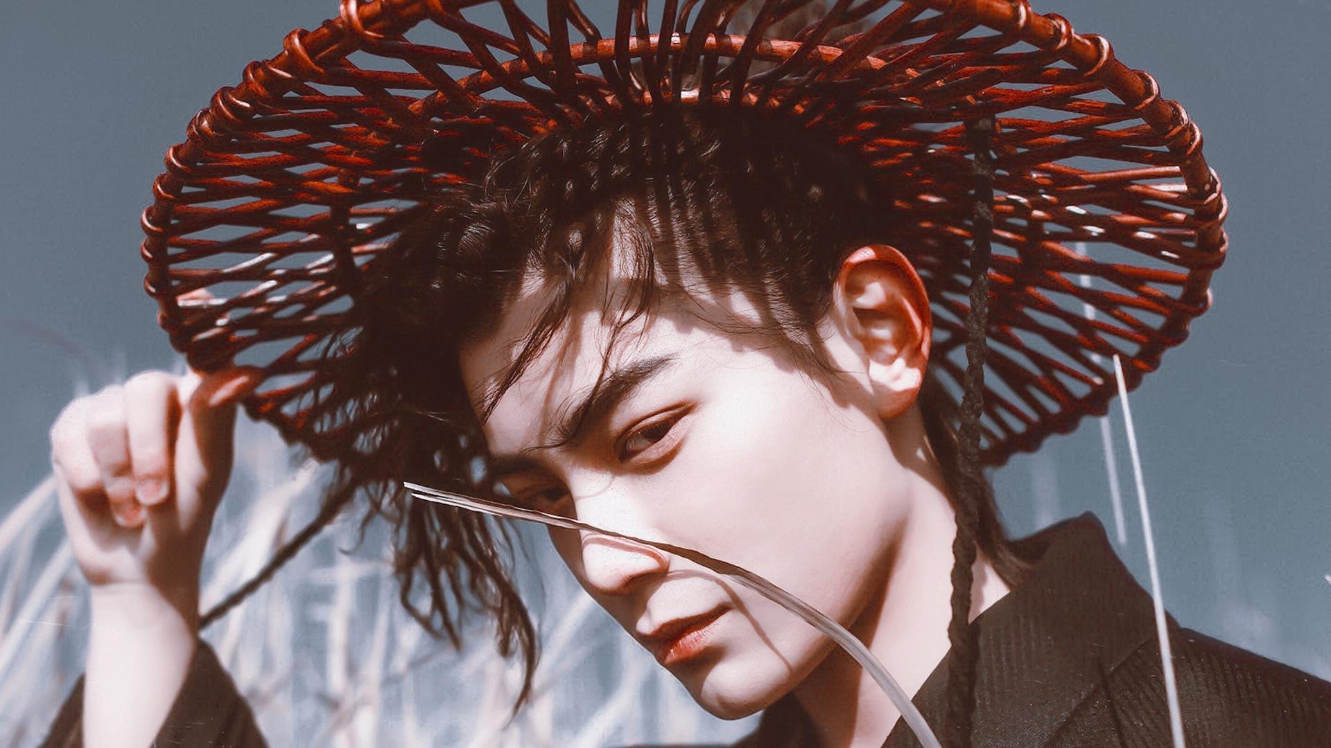 湖人以共享篮球哲学碾压森林狼，人人皆可是贝恩