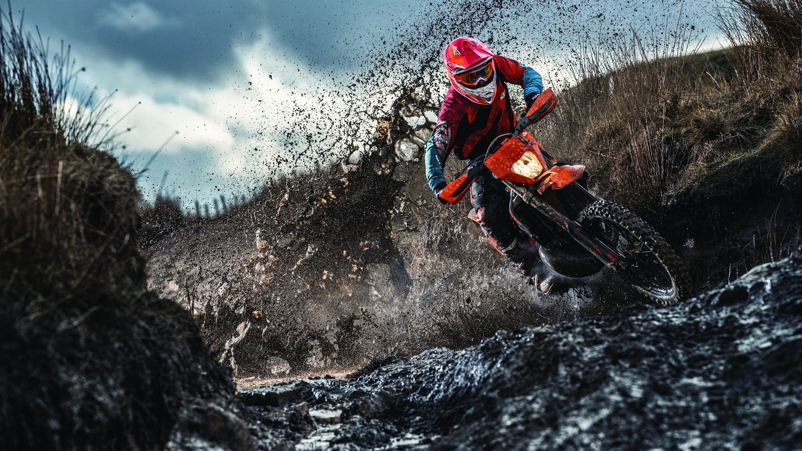 寒冰射手化为赤焰,范弗利特关键时刻连斩12分拯救猛龙