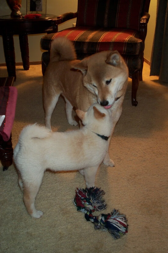 勇士关键战突围湖人,米切尔成为关键先生