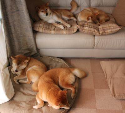 王者之剑，京多安在利物浦与乌拉圭风格对决中接管年度焦点之战