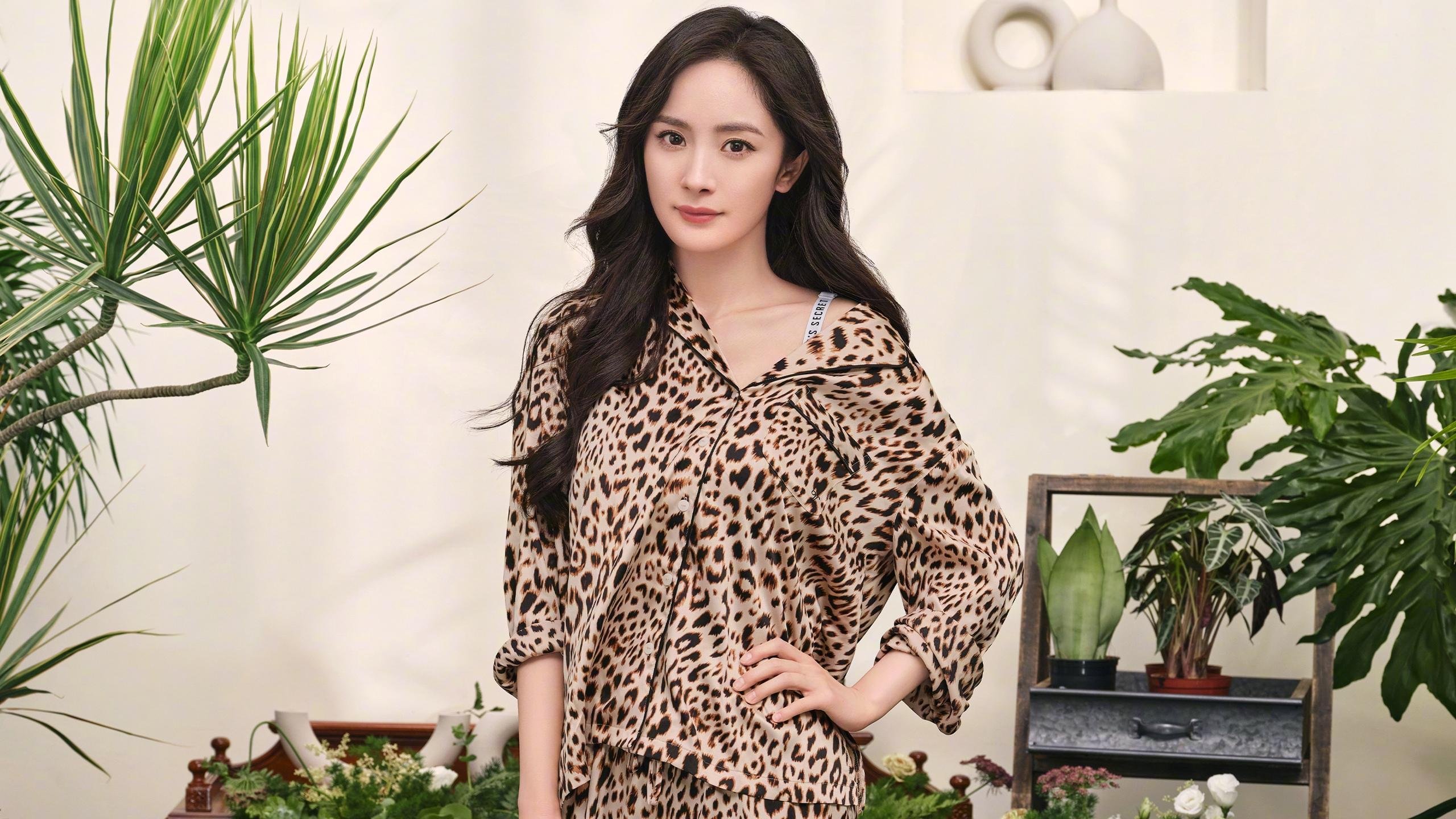 钢铁雄狮撕裂星条旗,一场非典型世界杯焦点战的哲学隐喻