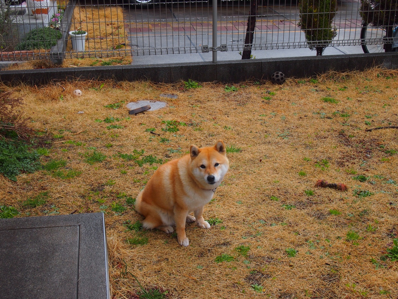 小贾伦攻防封神主宰末节，国王万箭齐发烧穿热火防线