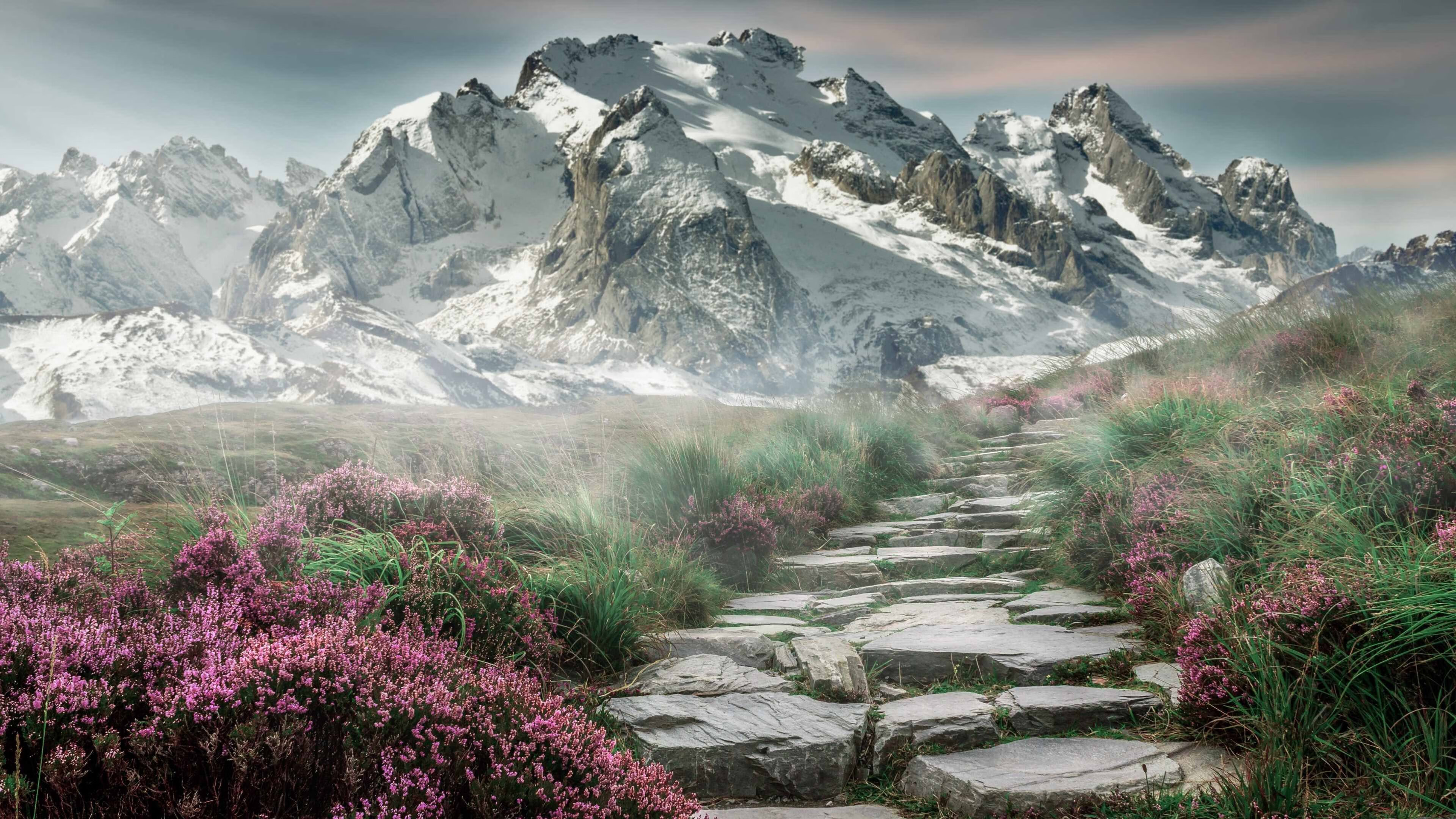 黄与蓝的对决，尼日利亚碾压式胜利揭开篮球新纪元序章